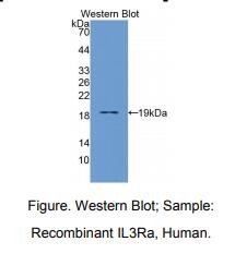 https://msimg.bioon.com/bionline/goods-no-pic.png