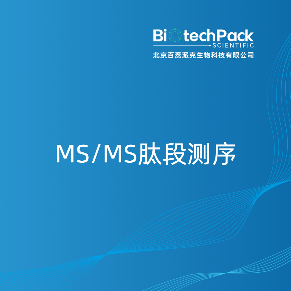 MS/MS肽段测序