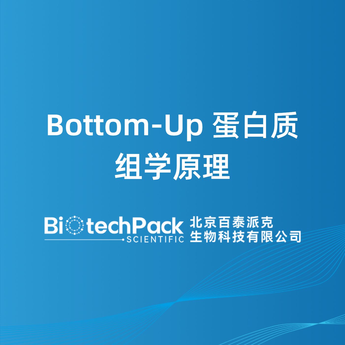 Bottom-Up 蛋白质组学原理