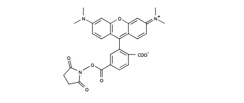 6-TAMRA, SE 6-羧基四甲基罗丹明琥珀酰亚胺酯 CAS 150810-69-8