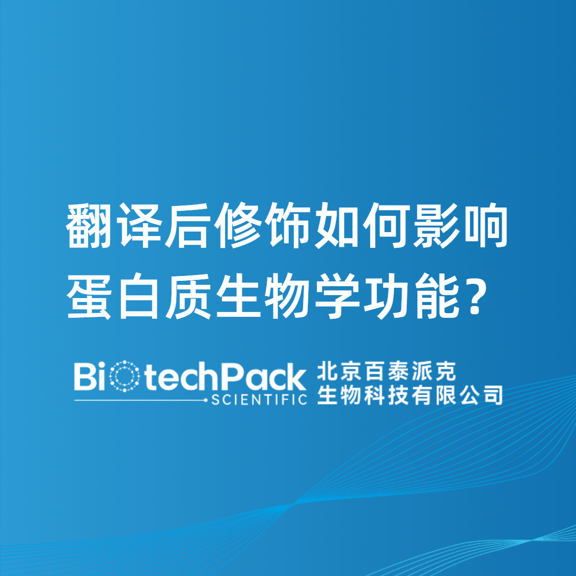 翻译后修饰如何影响蛋白质生物学功能？