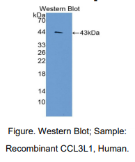 https://msimg.bioon.com/bionline/goods-no-pic.png