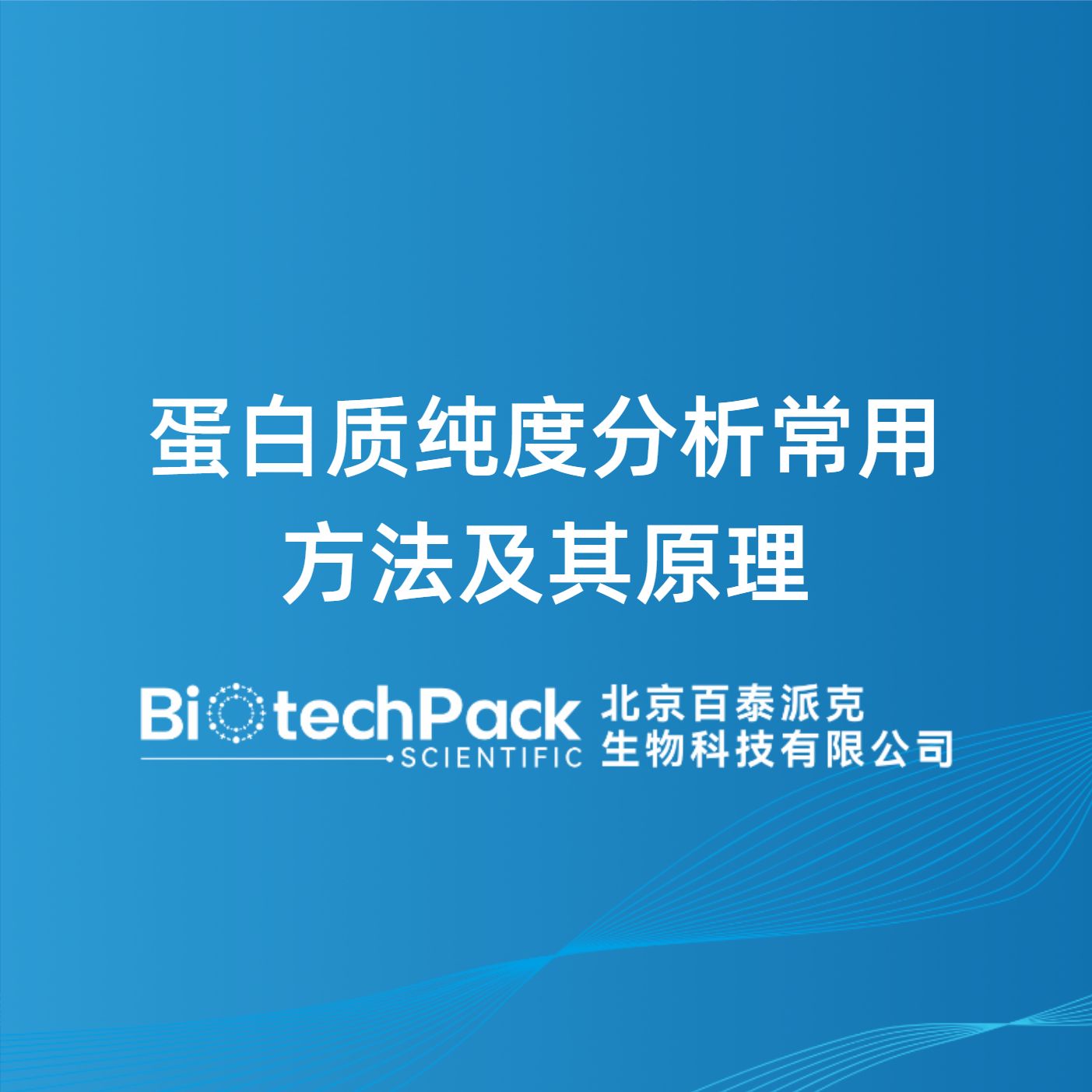 蛋白质纯度分析常用方法及其原理