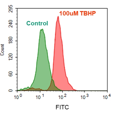 https://img.medsci.cn/e73eefcea40976357f460123cbf1e819c54e5106c9b457225be13b1cbc991aff.png