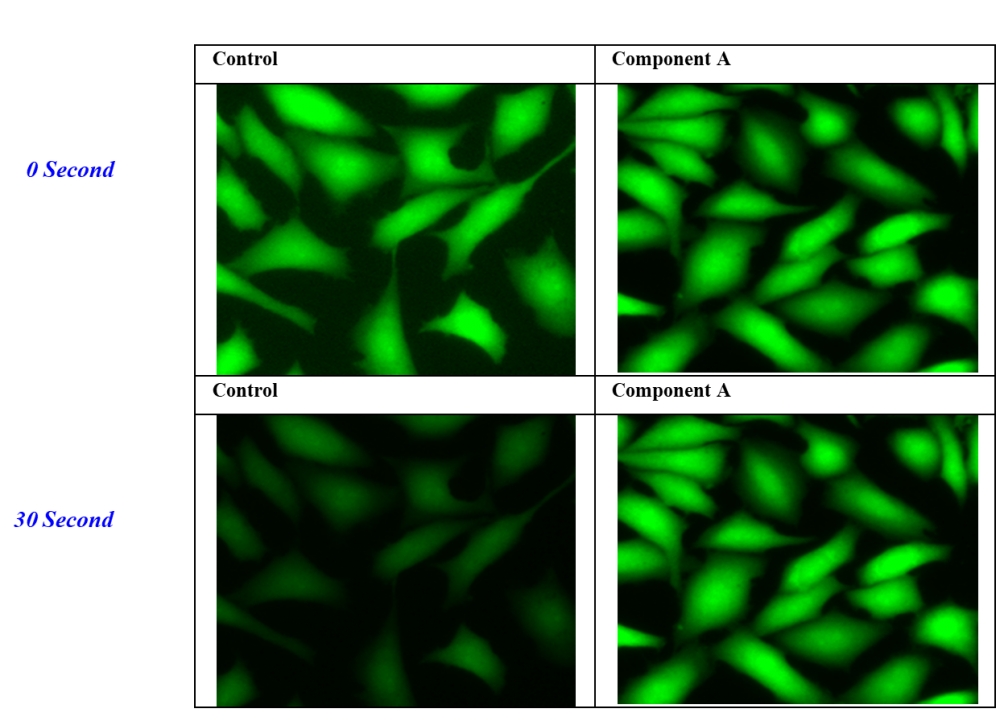 https://img.medsci.cn/e73eefcea40976357f460123cbf1e819c54e5106c9b457225be13b1cbc991aff.png