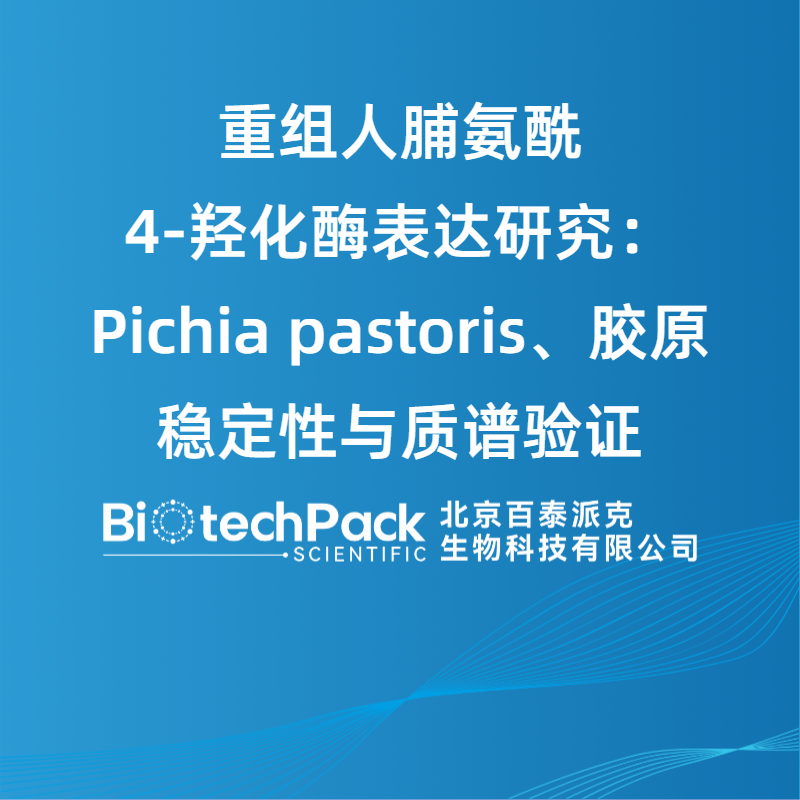 重组人脯氨酰4-羟化酶表达研究：Pichia pastoris、胶原稳定性与质谱验证