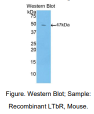 https://msimg.bioon.com/bionline/goods-no-pic.png