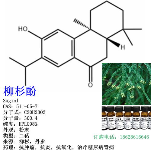 柳杉酚 Sugiol CAS:511-05-7