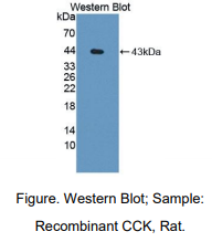 https://msimg.bioon.com/bionline/goods-no-pic.png