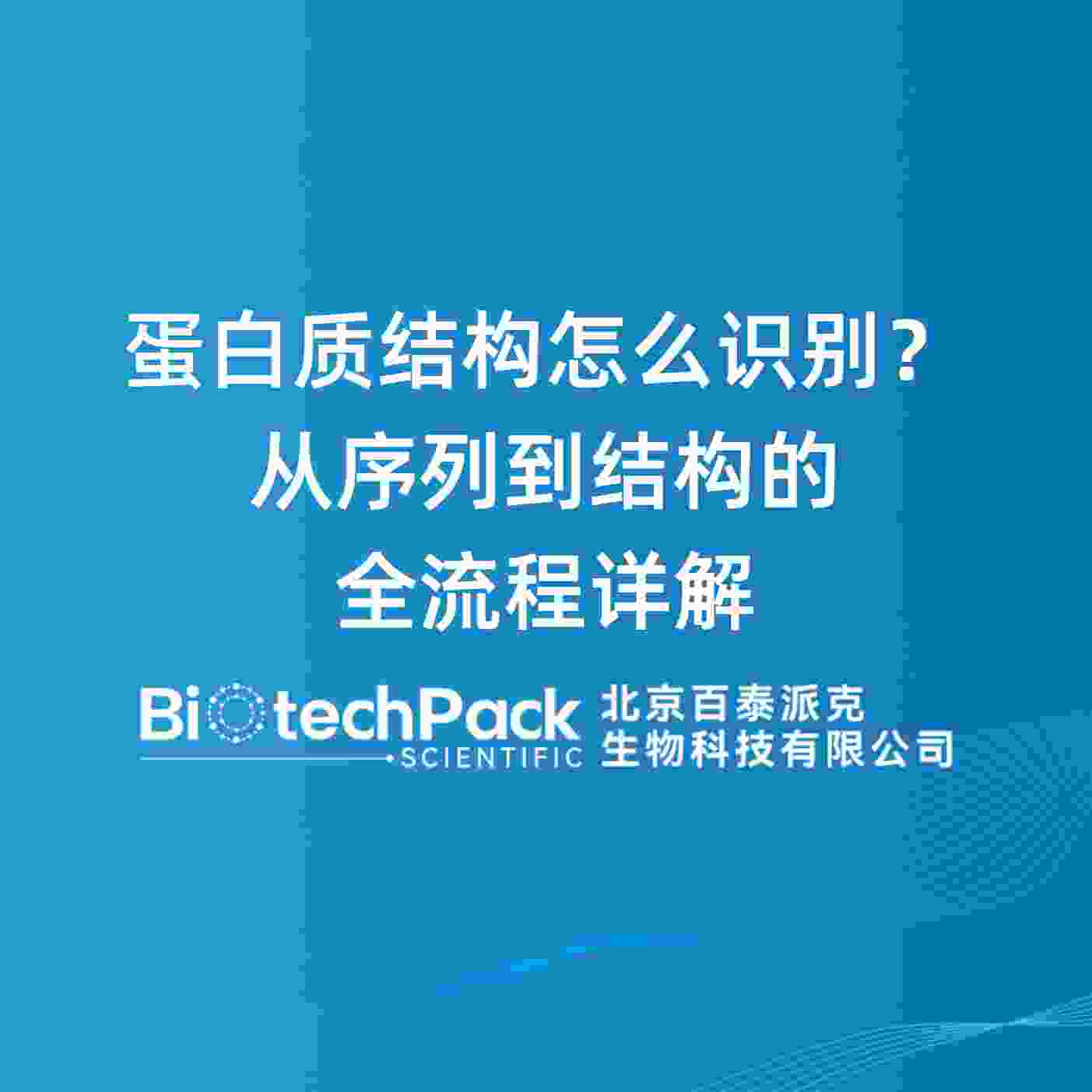 蛋白质结构怎么识别？从序列到结构的全流程详解