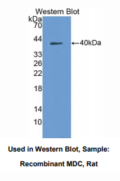 https://msimg.bioon.com/bionline/goods-no-pic.png