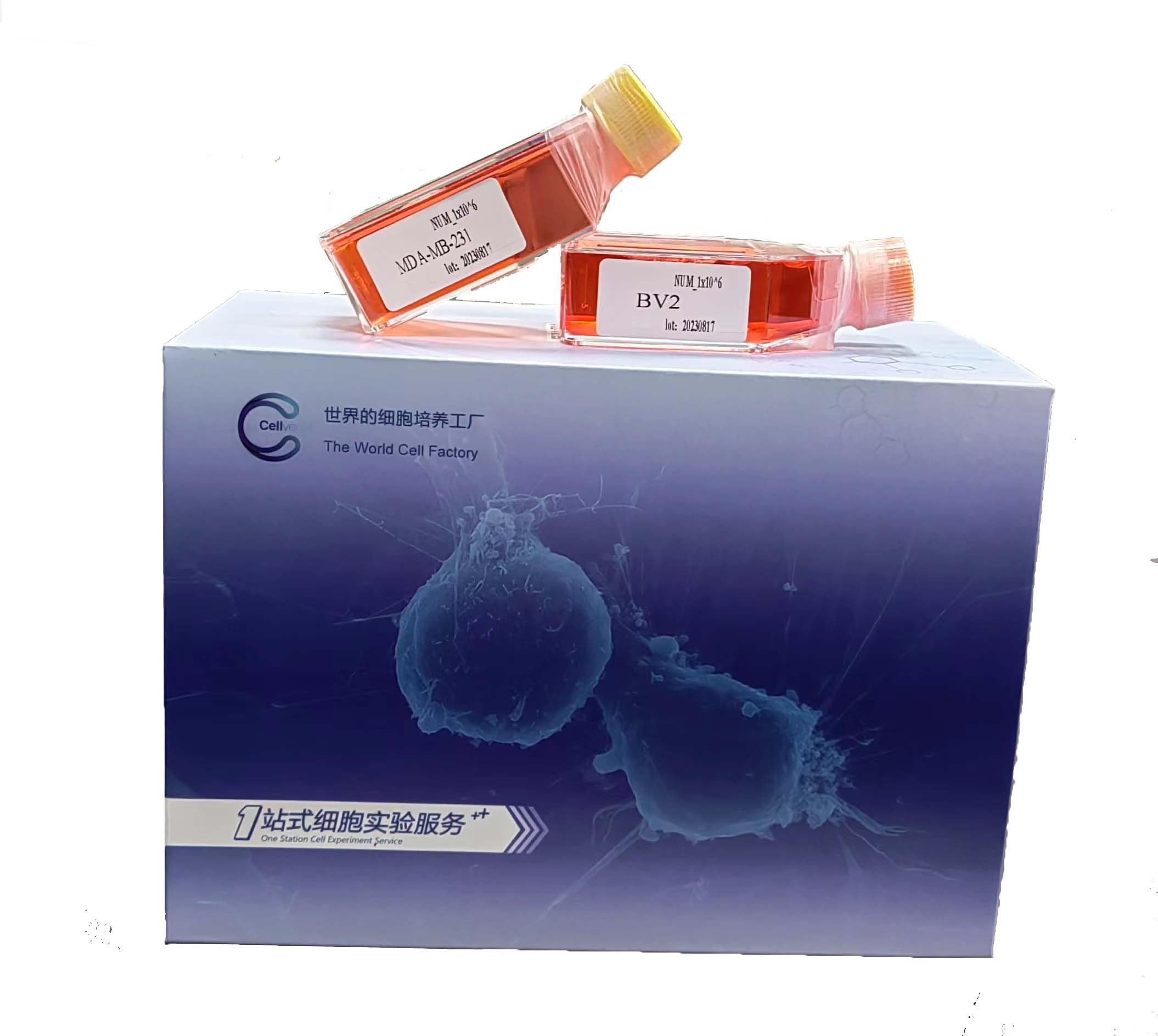 https://img.medsci.cn/5f561f9d1966c8a40c069b97fcac23b82666d7612246dbae75064de0bed04333.png