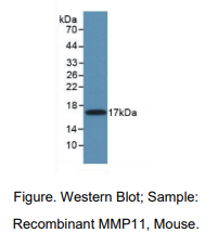 https://msimg.bioon.com/bionline/goods-no-pic.png