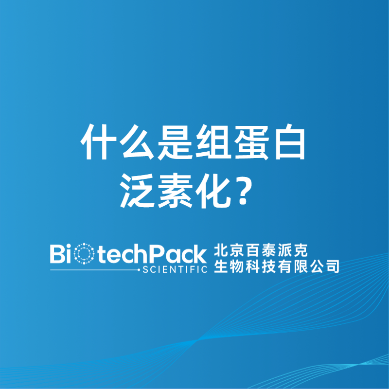什么是组蛋白泛素化？