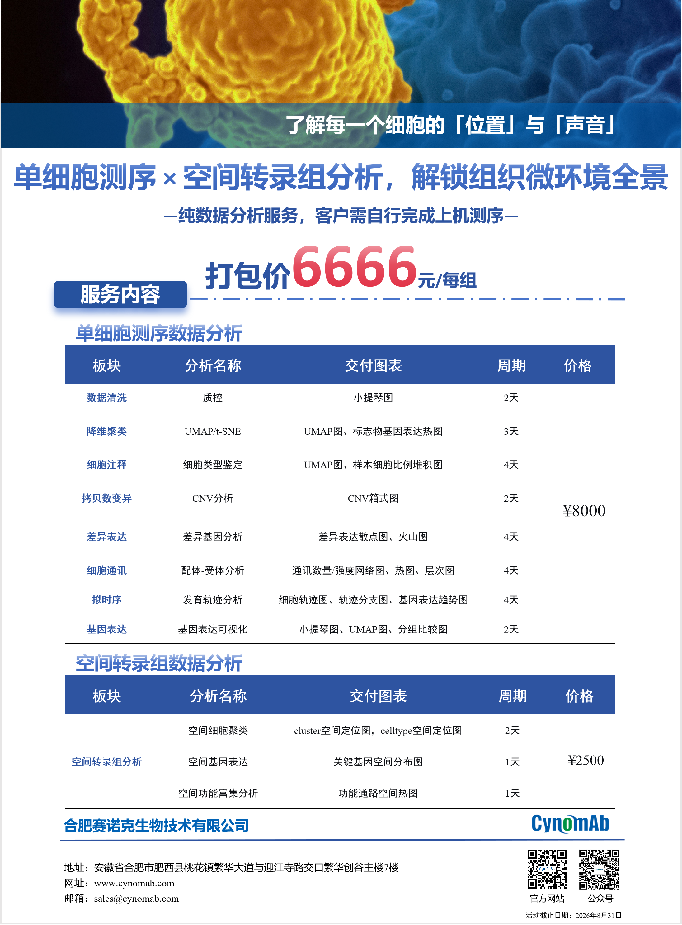 賽諾克生物推出單細胞測序×空間轉錄組分析打包服務：6666元/組，解鎖組織微環境全景