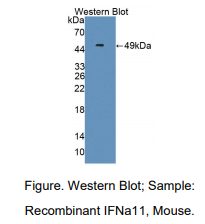 https://msimg.bioon.com/bionline/goods-no-pic.png