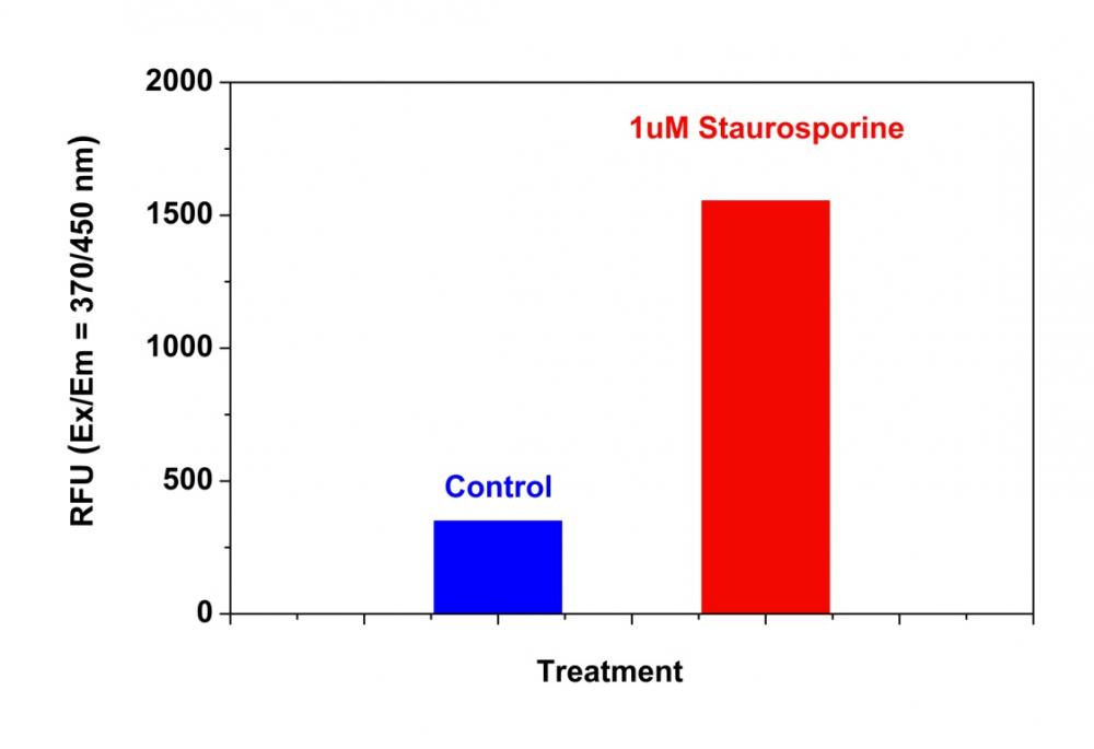 https://img.medsci.cn/e73eefcea40976357f460123cbf1e819c54e5106c9b457225be13b1cbc991aff.png