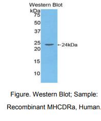 https://msimg.bioon.com/bionline/goods-no-pic.png