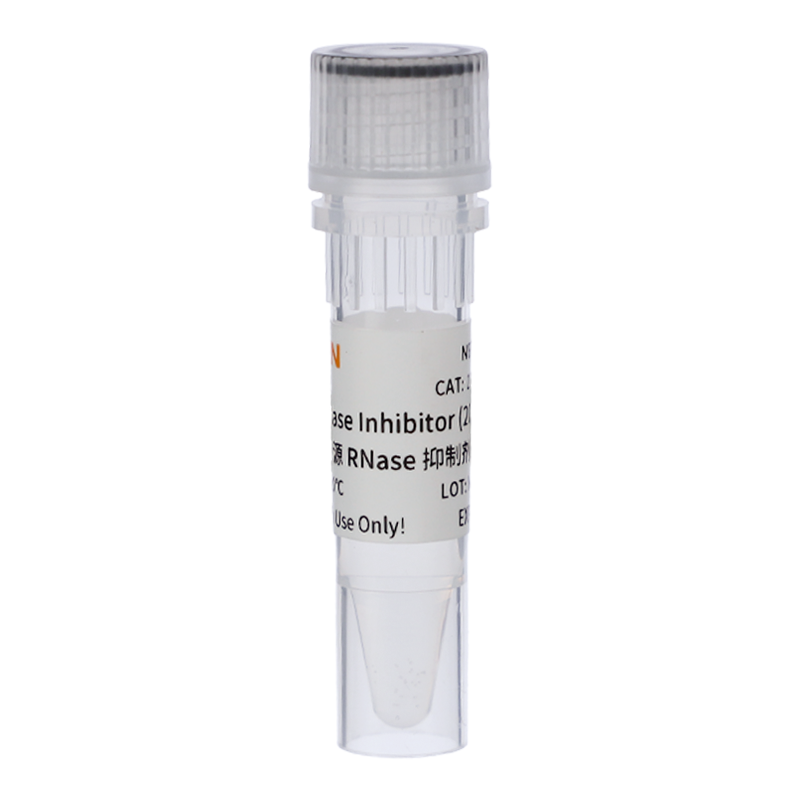 Murine RNase Inhibitor(200 U/μL) 10603的高浓度版本