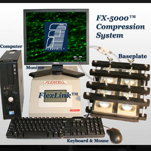 https://msimg.bioon.com/bionline/goods-no-pic.png