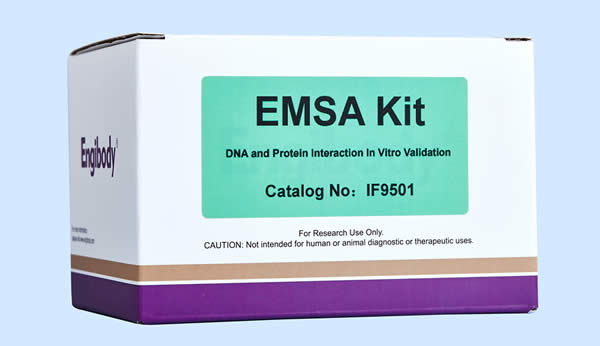 https://img.medsci.cn/3130de052a98e259a93b93bc9ac2c5253c5c2bb0a270ae61f8cfec132b62740f.jpg