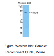 https://msimg.bioon.com/bionline/goods-no-pic.png