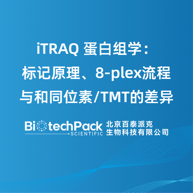 iTRAQ 蛋白组学：标记原理、8-plex流程与和同位素/TMT的差异