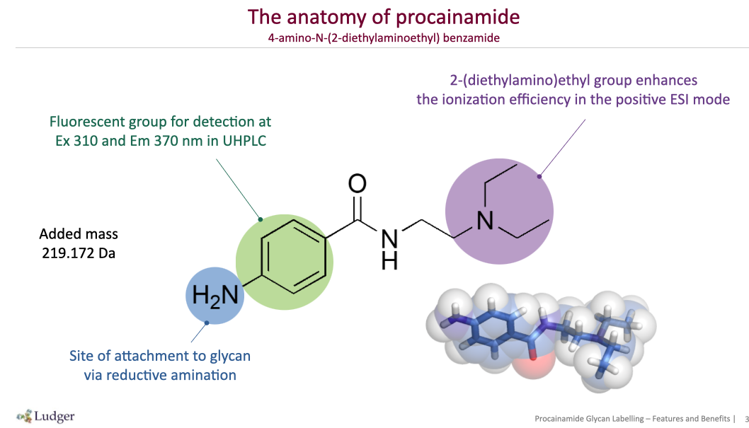 LT-KPROC-VP24    普鲁卡因胺多糖标记试剂盒, 2PB 还原剂 