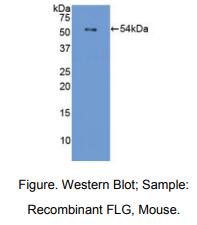 https://msimg.bioon.com/bionline/goods-no-pic.png