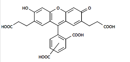 细胞膜荧光探针DiOC6(3),碘化物 CAS 53213-82-4