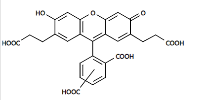 https://img.medsci.cn/e73eefcea40976357f460123cbf1e819c54e5106c9b457225be13b1cbc991aff.png