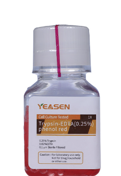 胰酶-EDTA溶液（0.25%），含酚红