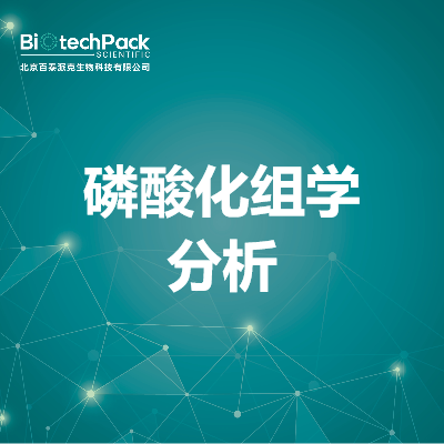 磷酸化组学分析