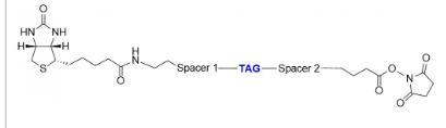 https://img.medsci.cn/e73eefcea40976357f460123cbf1e819c54e5106c9b457225be13b1cbc991aff.png