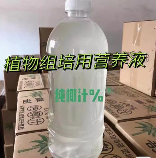 植物组培专用椰汁 椰子水 6瓶/箱，每瓶2升，每箱/12升