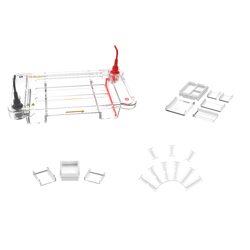 MiniProTM HET 高通量水平电泳槽