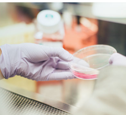 「DIFF CRO」基孔肯雅热假病毒与中和抗体检测服务