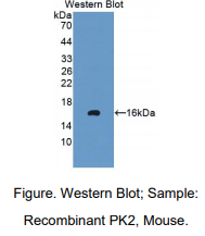 https://msimg.bioon.com/bionline/goods-no-pic.png