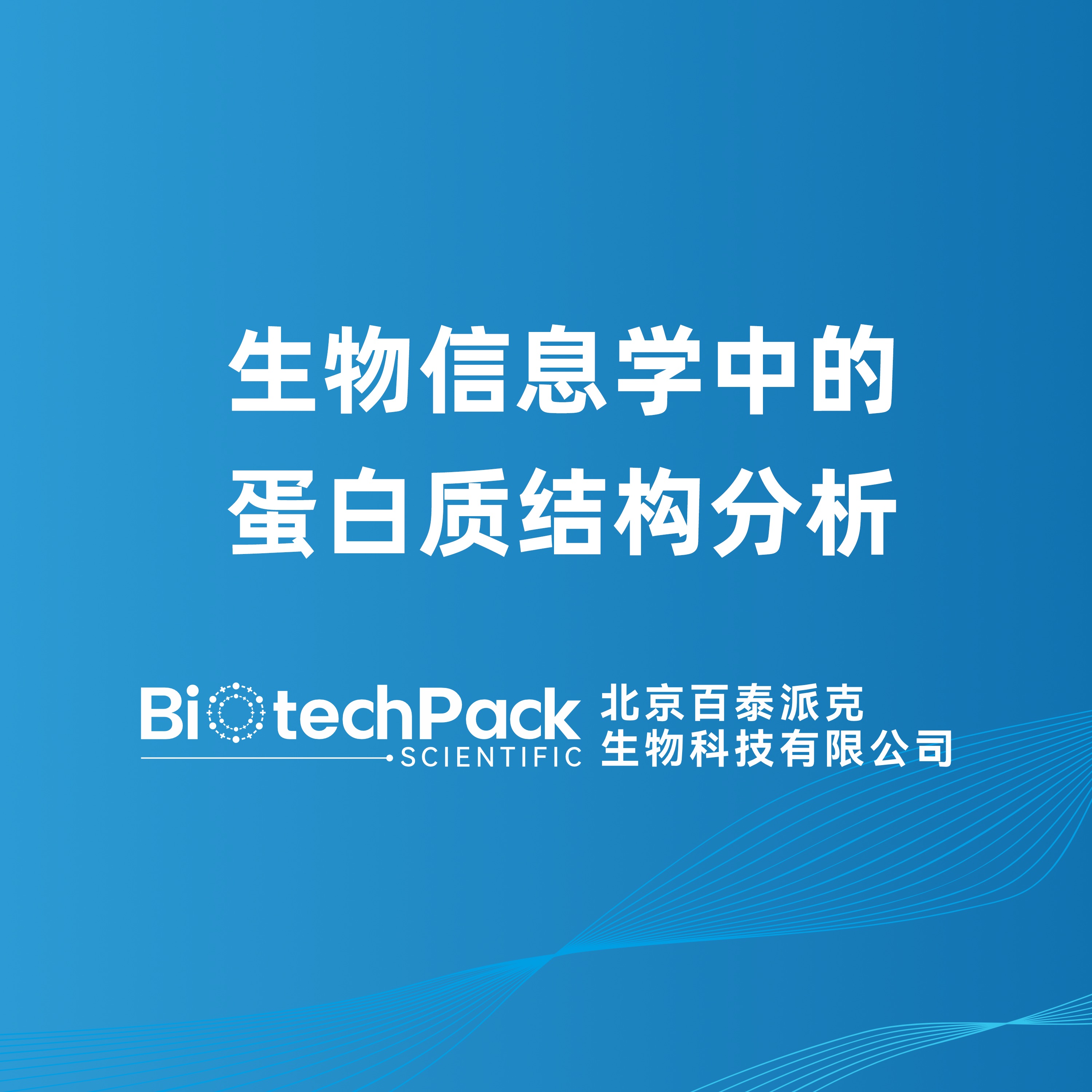 生物信息学中的蛋白质结构分析