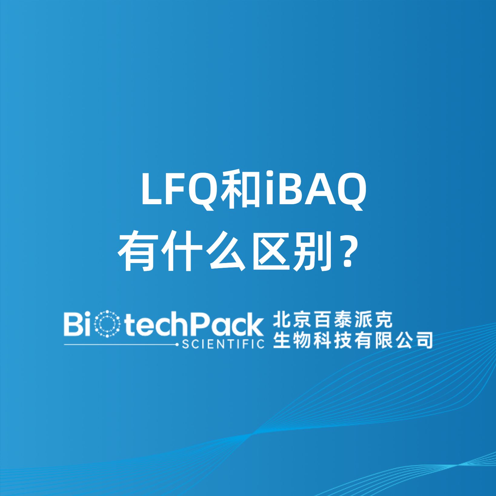LFQ和iBAQ有什么区别？