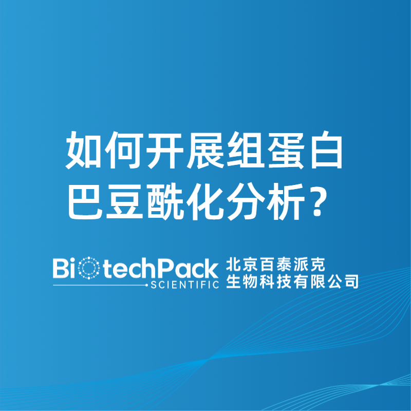 如何开展组蛋白巴豆酰化分析？