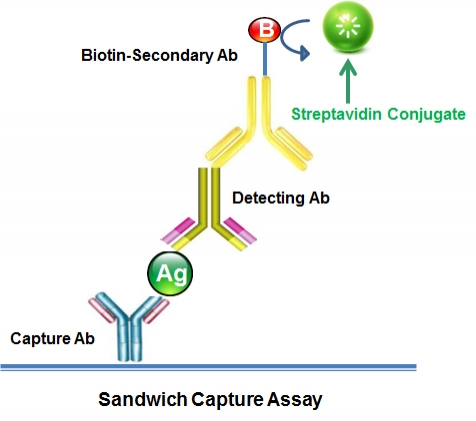 https://img.medsci.cn/e73eefcea40976357f460123cbf1e819c54e5106c9b457225be13b1cbc991aff.png