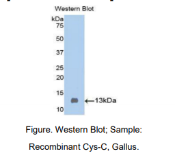 https://msimg.bioon.com/bionline/goods-no-pic.png