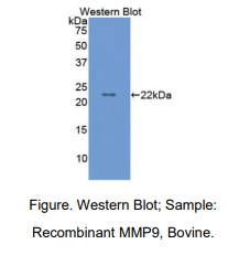 https://msimg.bioon.com/bionline/goods-no-pic.png