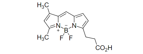 细胞标记探针 Bodi Fluor 488 SE(相当于Bodipy FL)CAS 146616-66-2