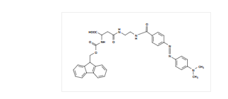 天冬氨酸Asp DABCYL标记