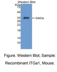 https://msimg.bioon.com/bionline/goods-no-pic.png