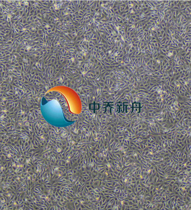 https://img.medsci.cn/8eee53bbc4cb7a98de615e72115896bc4e27fda5cbb764dbd67d9d641c2bb46a.png