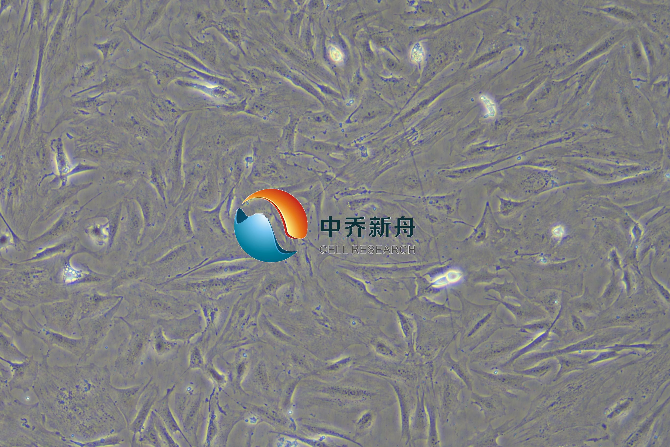 https://img.medsci.cn/8eee53bbc4cb7a98de615e72115896bc4e27fda5cbb764dbd67d9d641c2bb46a.png