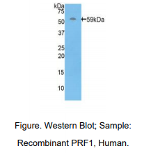 https://msimg.bioon.com/bionline/goods-no-pic.png